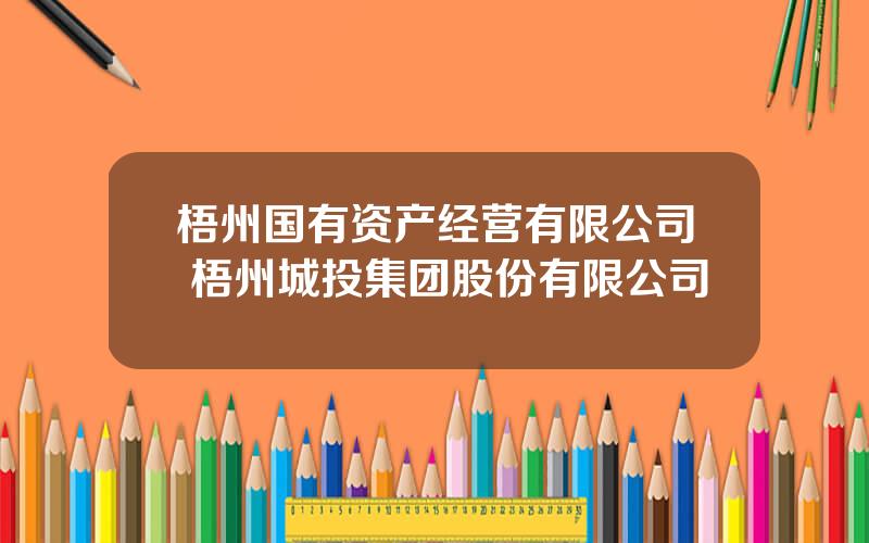 梧州国有资产经营有限公司 梧州城投集团股份有限公司